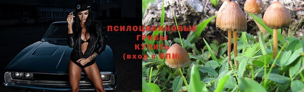 прущая мука Усмань