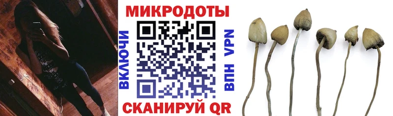 Галлюциногенные грибы Cubensis  Купить закладки  Новосибирск 